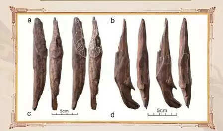 सीएमजी ने वर्ष 2025 की दस सबसे बड़ी घरेलू और अंतर्राष्ट्रीय पुरातत्व खबरें जारी कीं