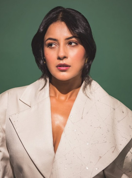 बी प्राक के गाने 'नरक' को शहनाज गिल ने दिया यूनिक टच, निम्मा और नसीमा का दर्द भी बताया