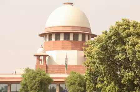 आवारा कुत्तों को खाना खिलाने पर महिला से बदसलूकी हो तो एफआईआर दर्ज कराए: सुप्रीम कोर्ट