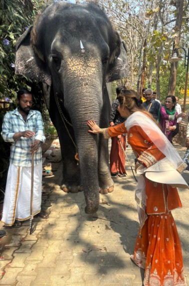 मधु शाह ने हाथी को बताया अपना पसंदीदा जानवर, सोशल मीडिया पर किया इमोशनल पोस्ट