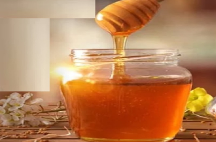 गर्मियों में शहद का सेवन हानिकारक या लाभदायक, जानें क्या कहता है आयुर्वेद