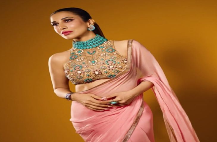 सोफी चौधरी बर्थडे: फिल्मों से दूर, फिर भी कमा रहीं मोटा पैसा, एक्टिंग छोड़ सिंगिंग को बनाया अपना करियर