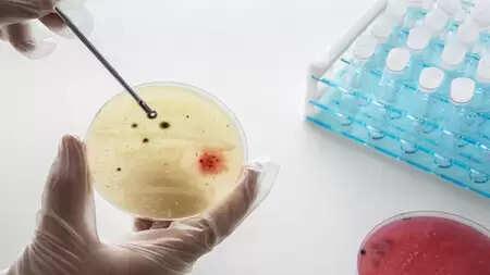 भारतीय वैज्ञानिकों ने बनाया एंटीबॉडी डिस्कवरी प्लेटफॉर्म, कैंसर और संक्रामक रोगों से लड़ाई में करेगा मदद