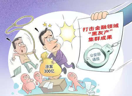 सार्वजनिक सुरक्षा एजेंसियों ने 200 से अधिक पेशेवर आपराधिक गिरोहों का भंडाफोड़ किया