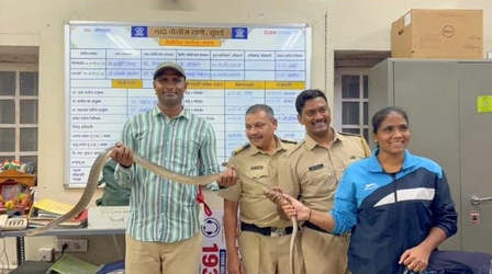 शाहरुख खान के 'मन्नत' में घुसा 8 फीट लंबा सांप, वन विभाग की टीम ने किया रेस्क्यू