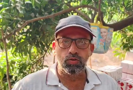बेमौसम बारिश और ओलावृष्टि से आम की फसलों में नुकसान, किसानों ने सरकार से मांगी सहायता