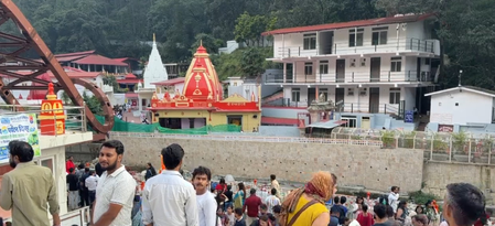 उत्तराखंड: कैंचीधाम क्षेत्र से लगभग गायब हुई गौरैया, पक्षियों के पलायन से बढ़ी चिंता