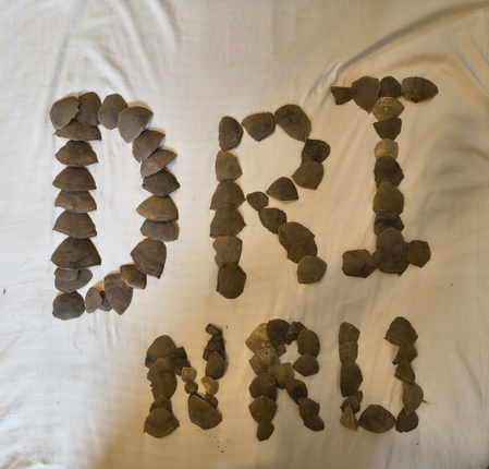 जगदलपुर में डीआरआई ने 16.528 किलो पैंगोलिन स्केल्स किया बरामद, तीन गिरफ्तार