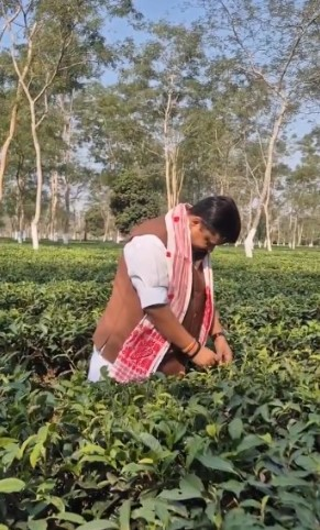 नितिन नवीन ने असम की दुनिया भर में पहचान का क्रेडिट चाय बागानों के मजदूरों को दिया