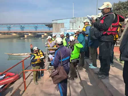 देशभर में डॉल्फिनों की दूसरी राउंड की गिनती शुरू, बिजनौर से शुरुआत