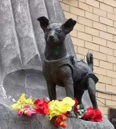 लाइका: वह नन्ही नायिका जिसने अंतरिक्ष के खोले द्वार, आज भी दुनिया करती है सलाम