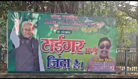 'टाइगर अभी जिंदा है', बिहार में मतगणना से पहले जदयू कार्यालय के बाहर लगे पोस्टर