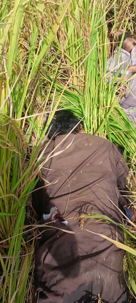 पंजाब सीमा पर घुसपैठ की कोशिश नाकाम, दो पाकिस्तानी घुसपैठियों को मार गिराया