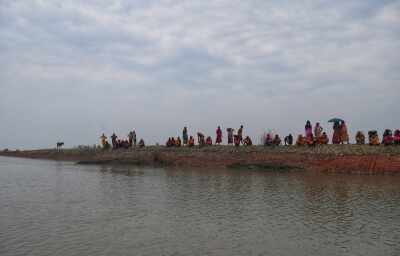 सुंदरबन में मैंग्रोव काटकर बने अवैध मछली फार्म पर सख्ती, 1,600 एकड़ क्षेत्र को फिर से हराभरा बनाने की तैयारी