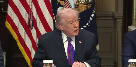 राष्ट्रपति डोनाल्ड ट्रंप ने की नई एआई ऊर्जा पहल, टेक कंपनियां खुद बनाएंगी बिजली