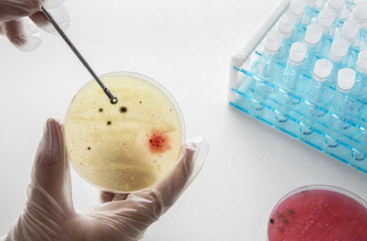 भारतीय वैज्ञानिकों ने बनाया एंटीबॉडी डिस्कवरी प्लेटफॉर्म, कैंसर और संक्रामक रोगों से लड़ाई में करेगा मदद