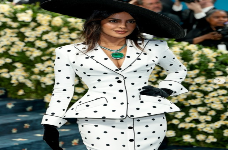 सिंहावलोकन 2025 : जब मेट गाला में भारतीय सितारों ने बदली फैशन की भाषा, सादगी में दिखा ग्लोबल स्टाइल