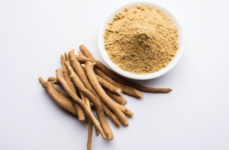 पुरुषों की हर समस्या का हल है सफेद मूसली, फायदे जानकर हो जाएंगे हैरान