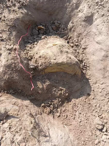 छत्तीसगढ़ में माओवादियों की साजिश नाकाम, सुरक्षाबलों ने 10 किलो के आईईडी को किया निष्क्रिय