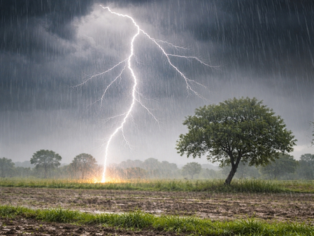 मध्य प्रदेश में भीषण गर्मी का कहर, आंधी-तूफान की संभावना; एक किसान की मौत