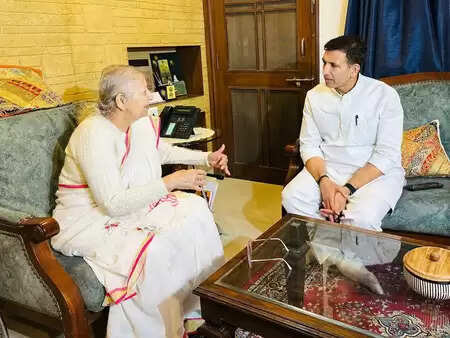 राहुल गांधी के इंदौर दौरे से पहले जीतू पटवारी ने की सुमित्रा महाजन से मुलाकात