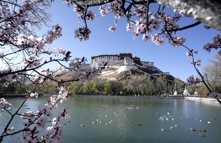 नेपाल अंतर्राष्ट्रीय फिल्म महोत्सव में शीत्सांग पर आधारित छह फिल्म प्रदर्शित