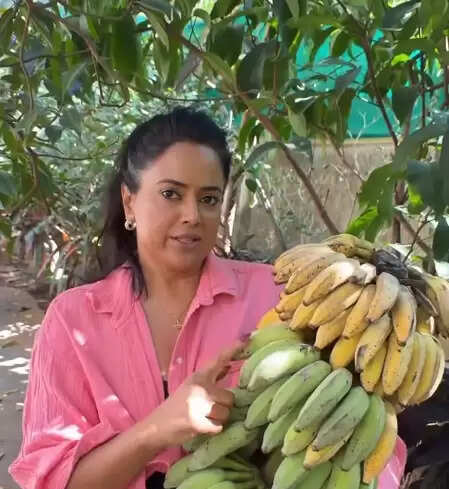 क्या है ऑर्गेनिक और केमिकल युक्त फलों में अंतर? समीरा रेड्डी ने बताया