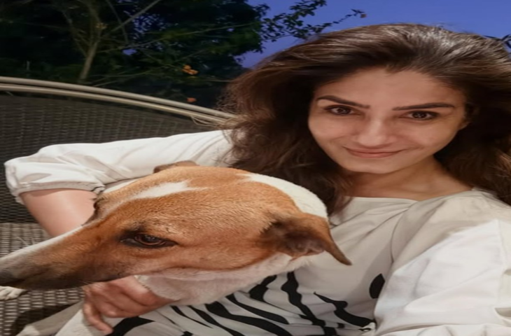 लावारिस कुत्तों के मुद्दे पर रवीना टंडन ने की अपील, इंसानियत और दया दिखाए पंजाब सरकार