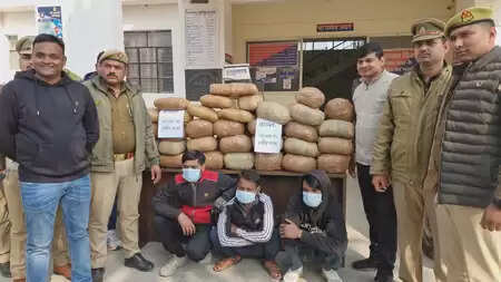 ग्रेटर नोएडा: 102 किलो से अधिक गांजा बरामद, तीन तस्कर गिरफ्तार