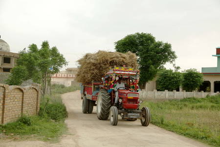खाद्य असुरक्षा से निपटने के लिए पाकिस्तान को कृषि क्षेत्र के आधुनिकीकरण की जरूरत: रिपोर्ट