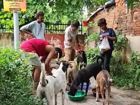 कानपुर की सड़कों पर नहीं भटकेंगे कुत्ते, नगर निगम ने शुरू किए 55 डॉग फीडिंग सेंटर