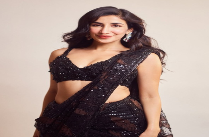 10 साल बाद साथ लौटे हनी सिंह और पारुल गुलाटी, एक्ट्रेस बोलीं- 'उनमें पहले जैसी एनर्जी'