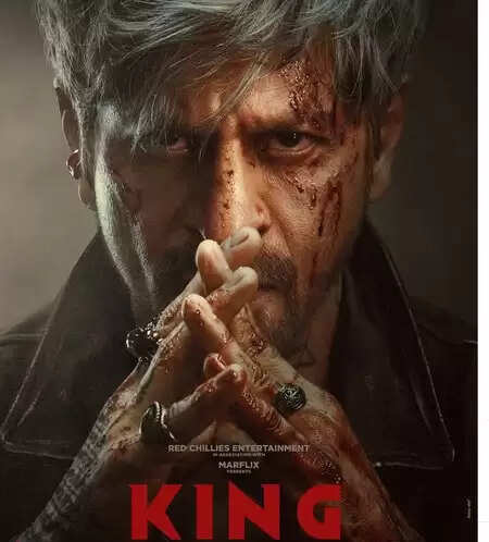 संभावनाओं का साल 2026 : इस साल रिलीज को तैयार फिल्मों की लिस्ट काफी लंबी, सलमान-शाहरुख दिखाएंगे जलवा