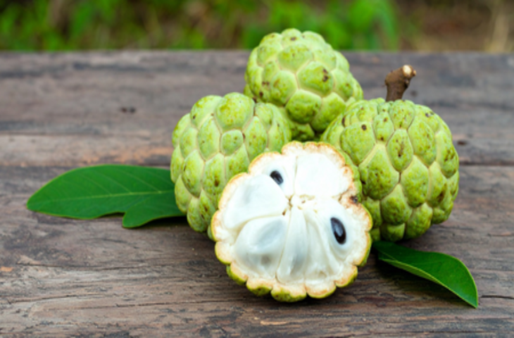 खून की कमी करे दूर, हड्डियां बनाए मजबूत,  जानें सीताफल और इसके पत्तों के फायदे