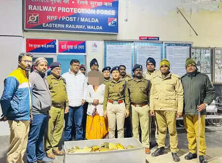 'ऑपरेशन वाइलैप' के तहत आरपीएफ की बड़ी कार्रवाई, 790 जीवित कछुओं की जब्ती, हिरासत में कई आरोपी