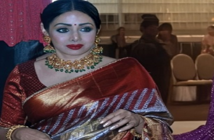 श्रीदेवी की संपत्ति विवाद में मद्रास हाई कोर्ट का बड़ा फैसला, चेंगलपट्टू कोर्ट की कार्यवाही पर अंतरिम रोक