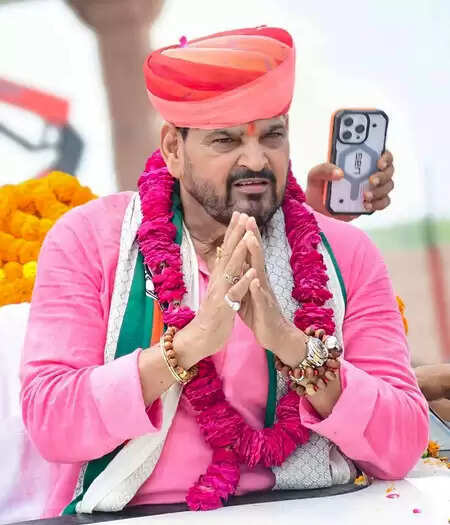 राम मंदिर चढ़ावा चोरी मामला : बृजभूषण शरण सिंह ने कहा- 'जांच पूरी होने तक बयानबाजी न करें'