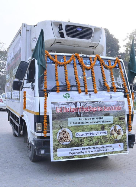 ‘किसानों ने वैश्विक मंच पर कदम रखा’: जीआई-टैग वाले कार्बी आंगलोंग अदरक के पहले निर्यात पर बोले सरमा