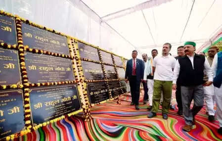 संविधान की मूल भावना को कमजोर कर रही सरकार: राहुल गांधी