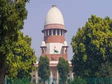 करूर भगदड़ मामला: तमिलनाडु सरकार ने सुप्रीम कोर्ट में हलफनामा दाखिल कर सीबीआई जांच का विरोध किया