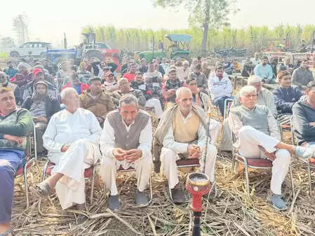 खेतों में लगाई चौपाल, योगी सरकार के कारण किसानों के जीवन में हुई उन्नति पर की गई चर्चा