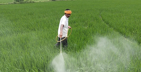 छत्तीसगढ़: धमतरी के किसानों के लिए वरदान साबित हुई फसल बीमा योजना, टूटा 5 साल का रिकॉर्ड