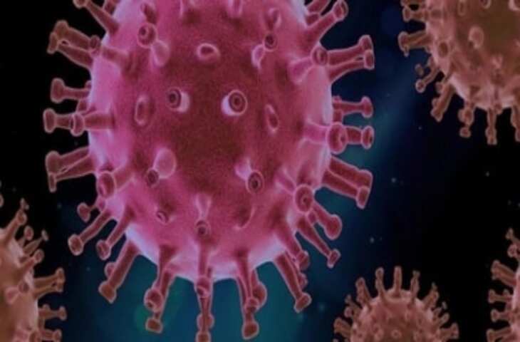 अमृतसर में कोरोना का कोई मरीज नहीं, स्वास्थ्य प्रशासन पूरी तरह तैयार : सिविल सर्जन