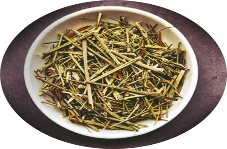 चिरायता: आयुर्वेद की कड़वी जड़ी-बूटी, कई बीमारियों का करती है इलाज, लेकिन सतर्कता जरूरी