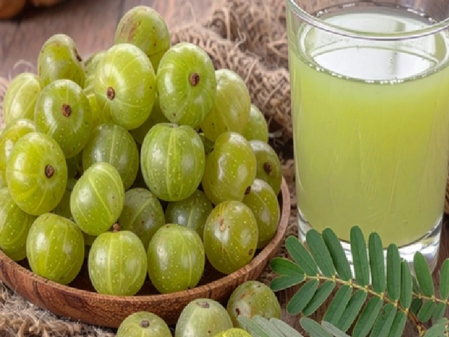 आंवला शरबत : गर्मियों का टॉनिक, पीने के मिलेंगे अनगिनत लाभ
