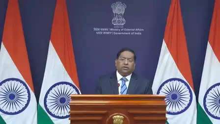 भारत ने पाकिस्तान की 'अल्पसंख्यकों के दमन' वाली टिप्पणियों को खारिज किया, याद दिलाया उसका भयावह रिकॉर्ड