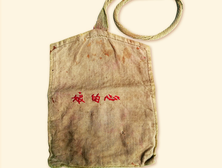 मदर्स डे विशेष : चीनी राष्ट्रपति शी चिनफिंग के व्यक्तित्व को गढ़ने में मां के संस्कारों की अहम भूमिका