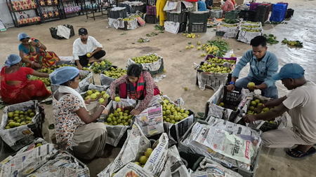 झारखंड: नेतरहाट की नाशपाती अब देश के बड़े बाजारों में, महिला किसानों को मिल रहा बेहतर दाम