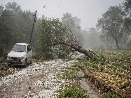 मध्य प्रदेश: ओलावृष्टि और तेज हवाओं का कहर, दो की मौत, किसानों को भारी नुकसान