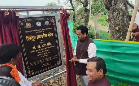 बिहार कृषि विश्वविद्यालय ने भागलपुर के रामासी गांव को बनाया देश का पहला 'सिंदूर ग्राम'
